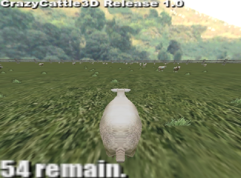 Multiplayer Action